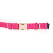 Fi Compatible Signature Pink Collar