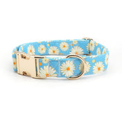 Miss Daisy Collar