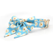 Miss Daisy Collar