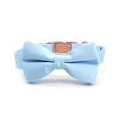 Baby Blue Collar