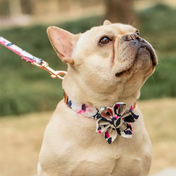 Blossom Collar Leash Set