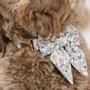 Sloane Collar Leash Set