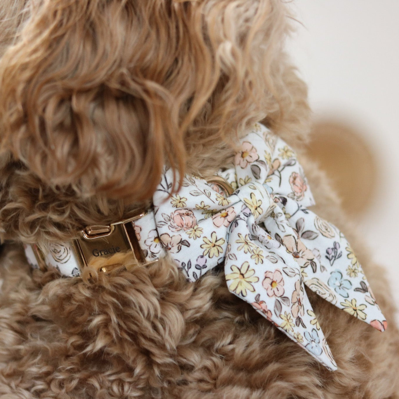 Fi Compatible Sloane Collar