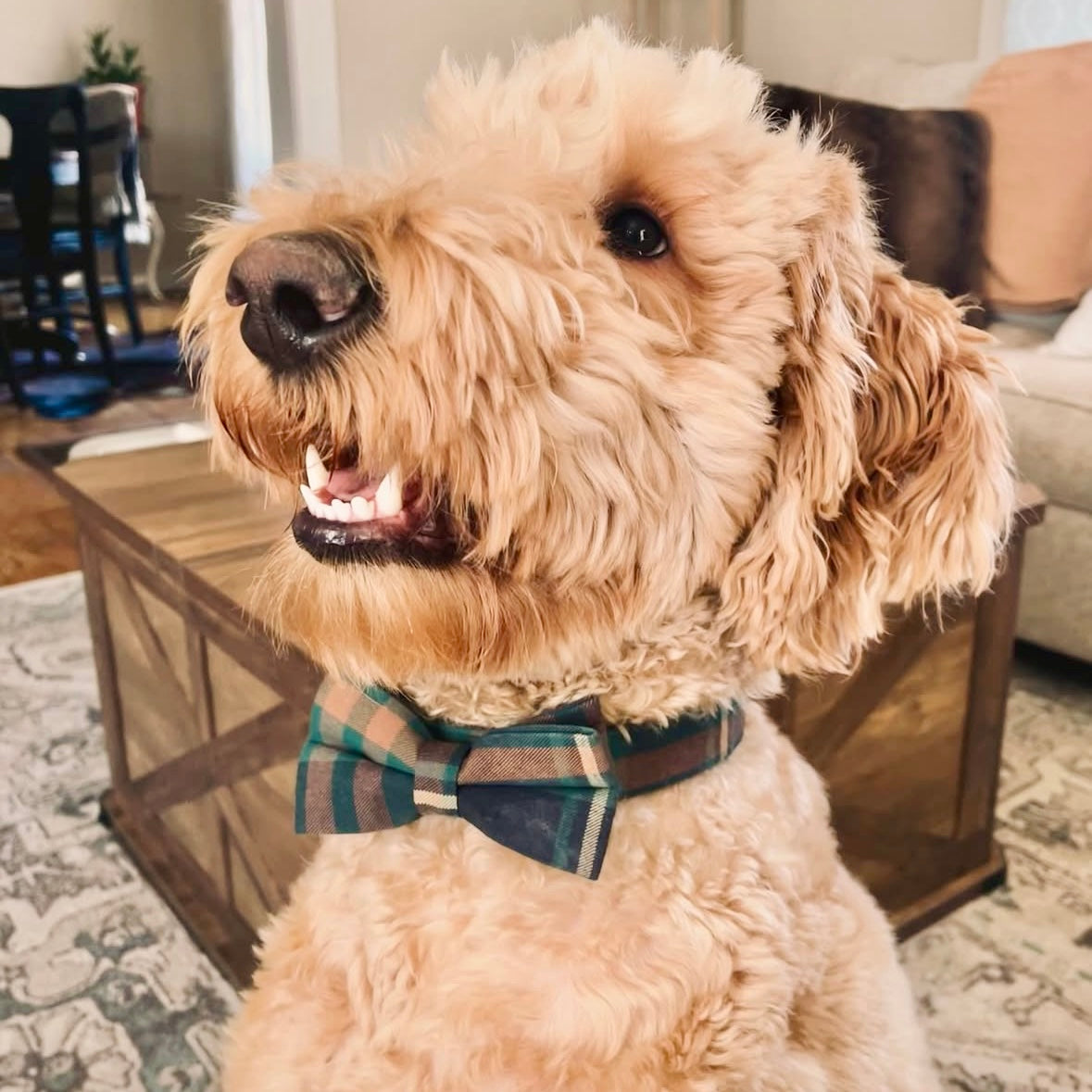 Tucker Full Walk Set