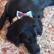 Harrison Full Walk Set