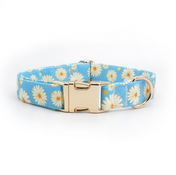 Miss Daisy Collar Leash Set
