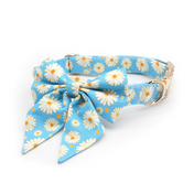 Miss Daisy Collar Leash Set