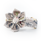 Simone Collar Leash Set