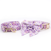 Floral Romance Collar Leash Set