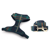 Tucker Harness Leash Set