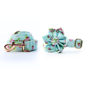 Daisy Dots Collar Leash Set