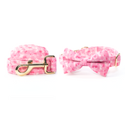 Off To Paris Collar Leash Set