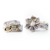 Simone Collar Leash Set