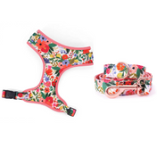 Isabel Harness Leash Set